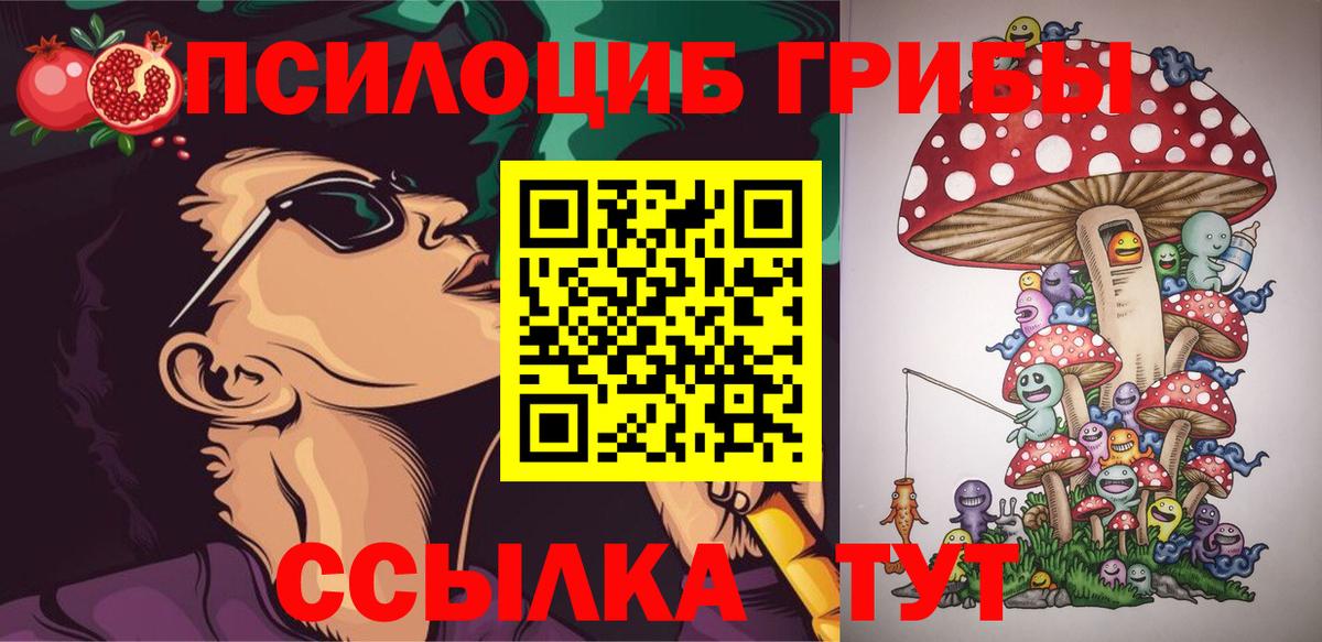 Псилоцибиновые грибы GOLDEN TEACHER Кушва