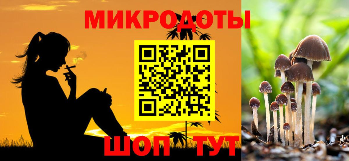 цены   Псилоцибиновые грибы Psilocybe  Вход с VPN  Псилоцибиновые грибы мухоморы  Кушва 